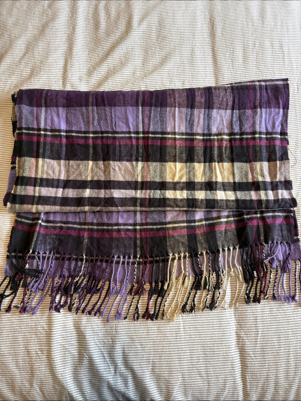 Plaid Fringe Scarf in Purple and Black